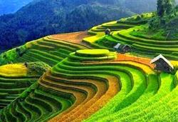 Sapa